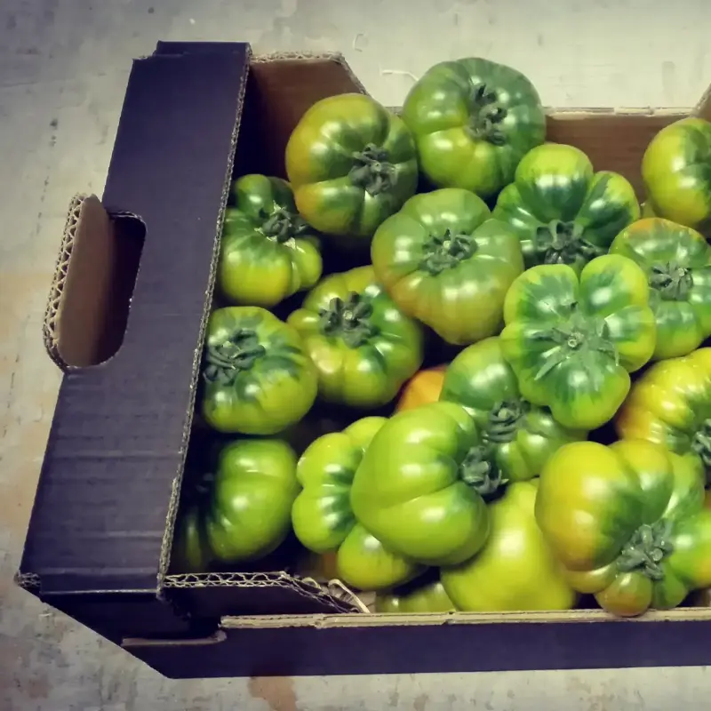 pepeRaf miniRaf Tomato 3 kg box pepeRaf miniRaf Tomato 3 kg box