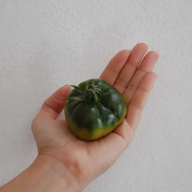 Tomate miniRaf de pepeRaf Caja de 3 Kg Tomate miniRaf de pepeRaf Caja de 3 Kg