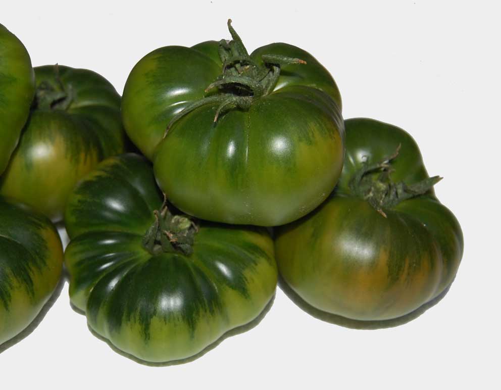Auténtico tomate Raf de Almería