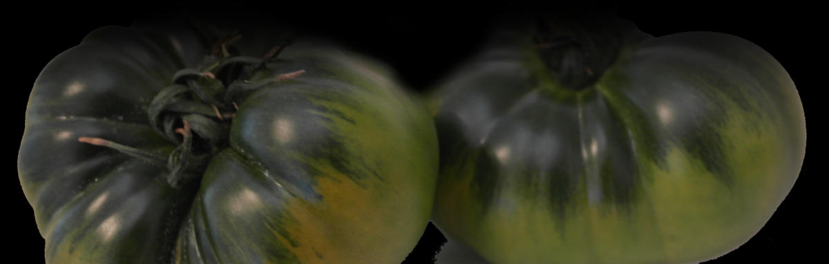 ¿Cómo es el auténtico tomate Raf? ¿Cómo es el auténtico tomate Raf?