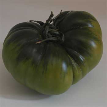 Así es la forma de un tomate Raf. Así es la forma de un tomate Raf.