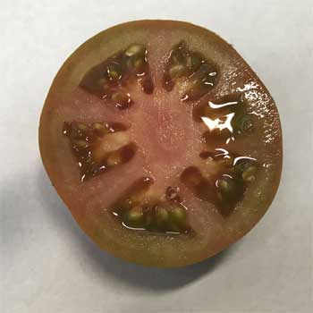 This is the inside of a Raf tomato.