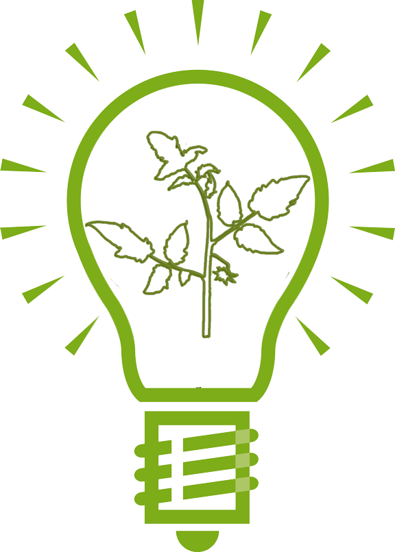 pepeRaf comprometido con el ahorro energético en sus cultivos pepeRaf comprometido con el ahorro energético en sus cultivos